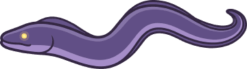 Eel